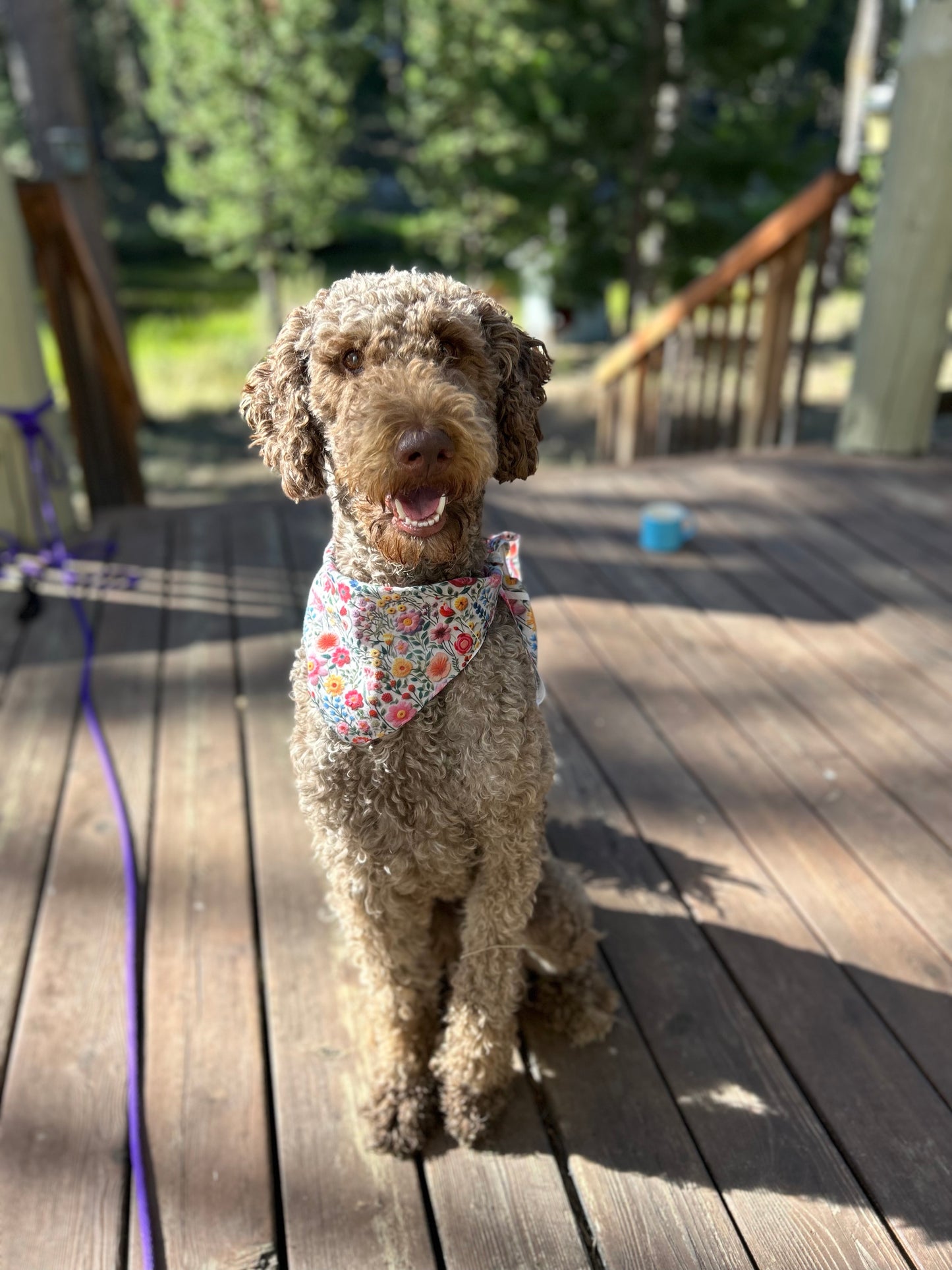 Floral dog bandana, Floral embroidery motif,  Pet bandana, bandanas for puppies, Faux embroidery bandana.