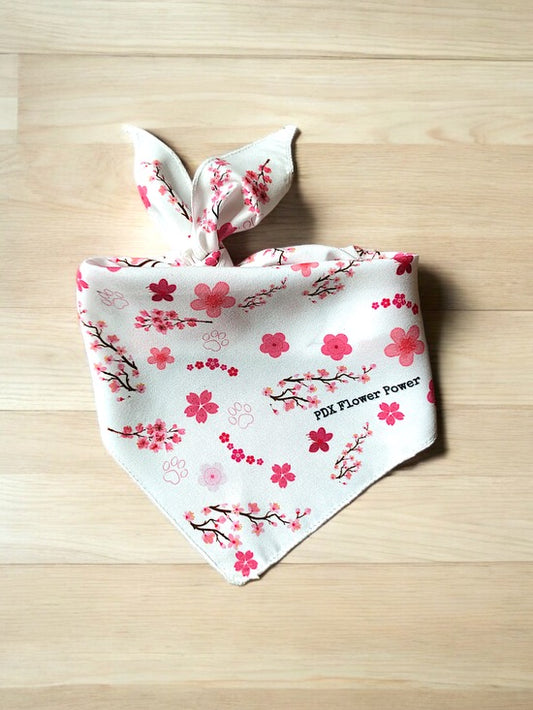 Cherry Blossom dog Bandana