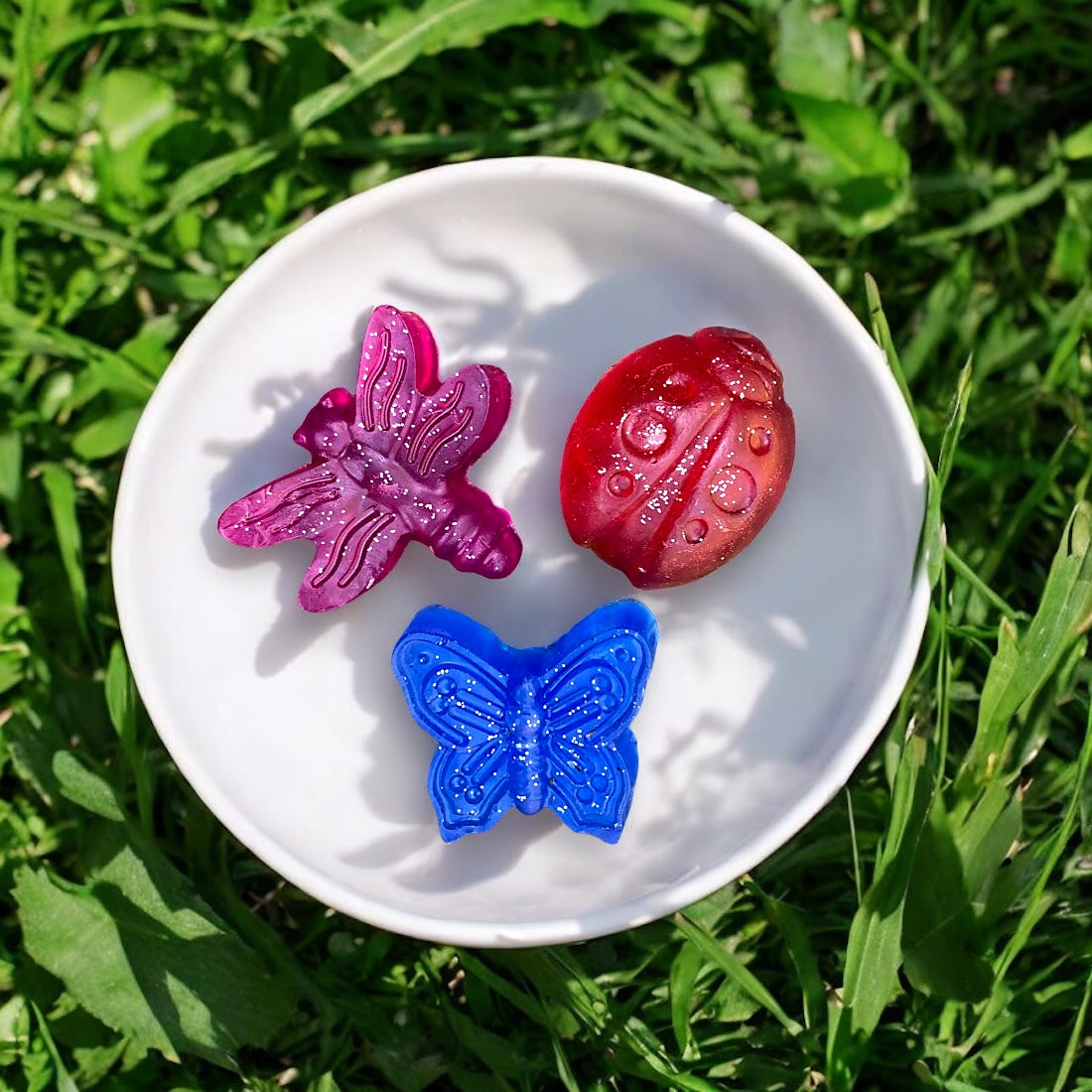 Insect Soap Set