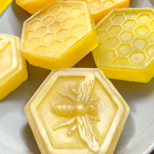Bee & Honeycomb Soap Set (2)