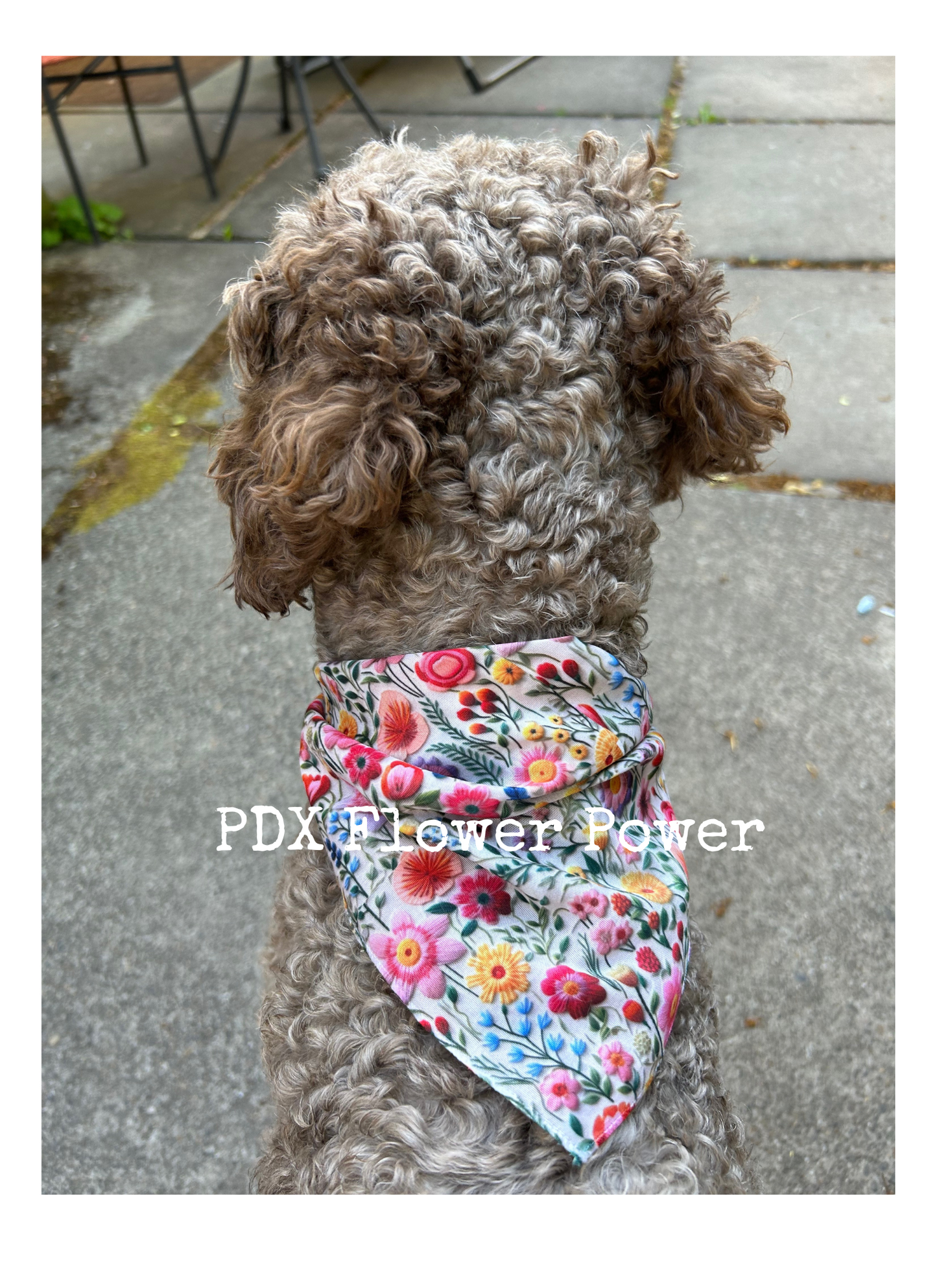 Floral dog bandana, Floral embroidery motif, Pet bandana, bandanas for puppies, Faux embroidery bandana.