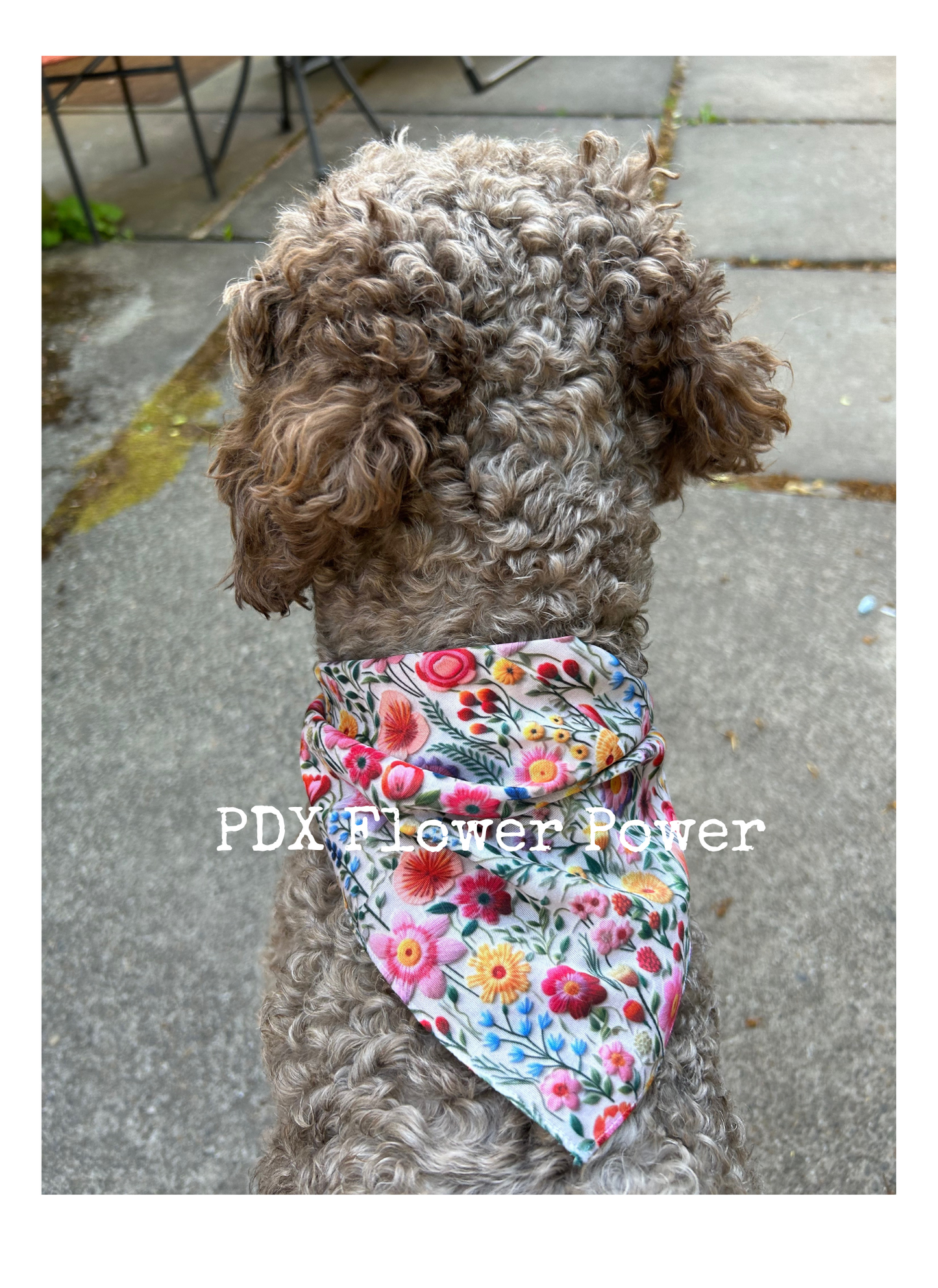 Floral dog bandana, Floral embroidery motif,  Pet bandana, bandanas for puppies, Faux embroidery bandana.