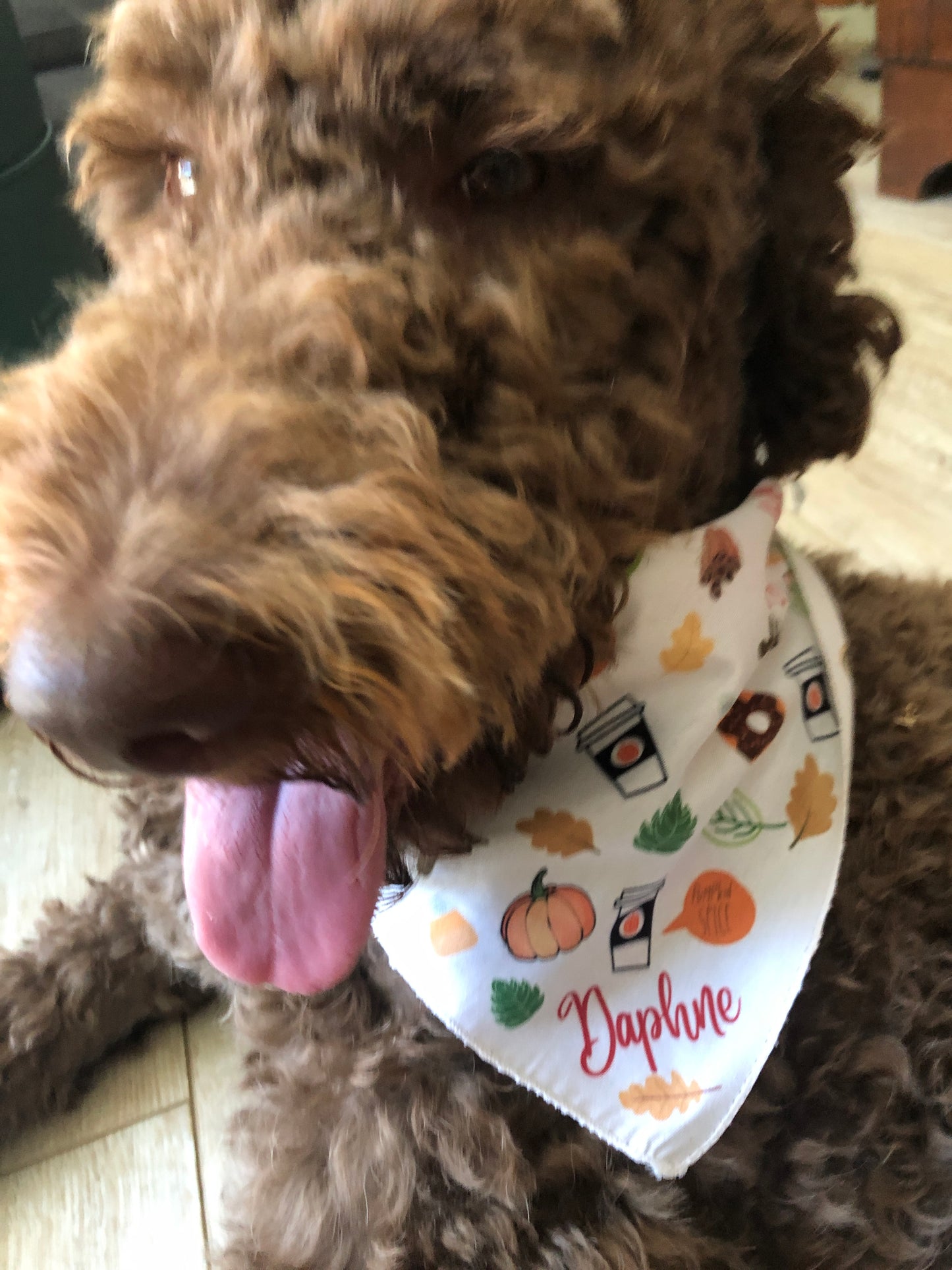 Pumpkin Spice dog Bandana, Custom Dog bandana, Fun dog bandana, custom dog gifts, summer fun dog accessories, good dog gift
