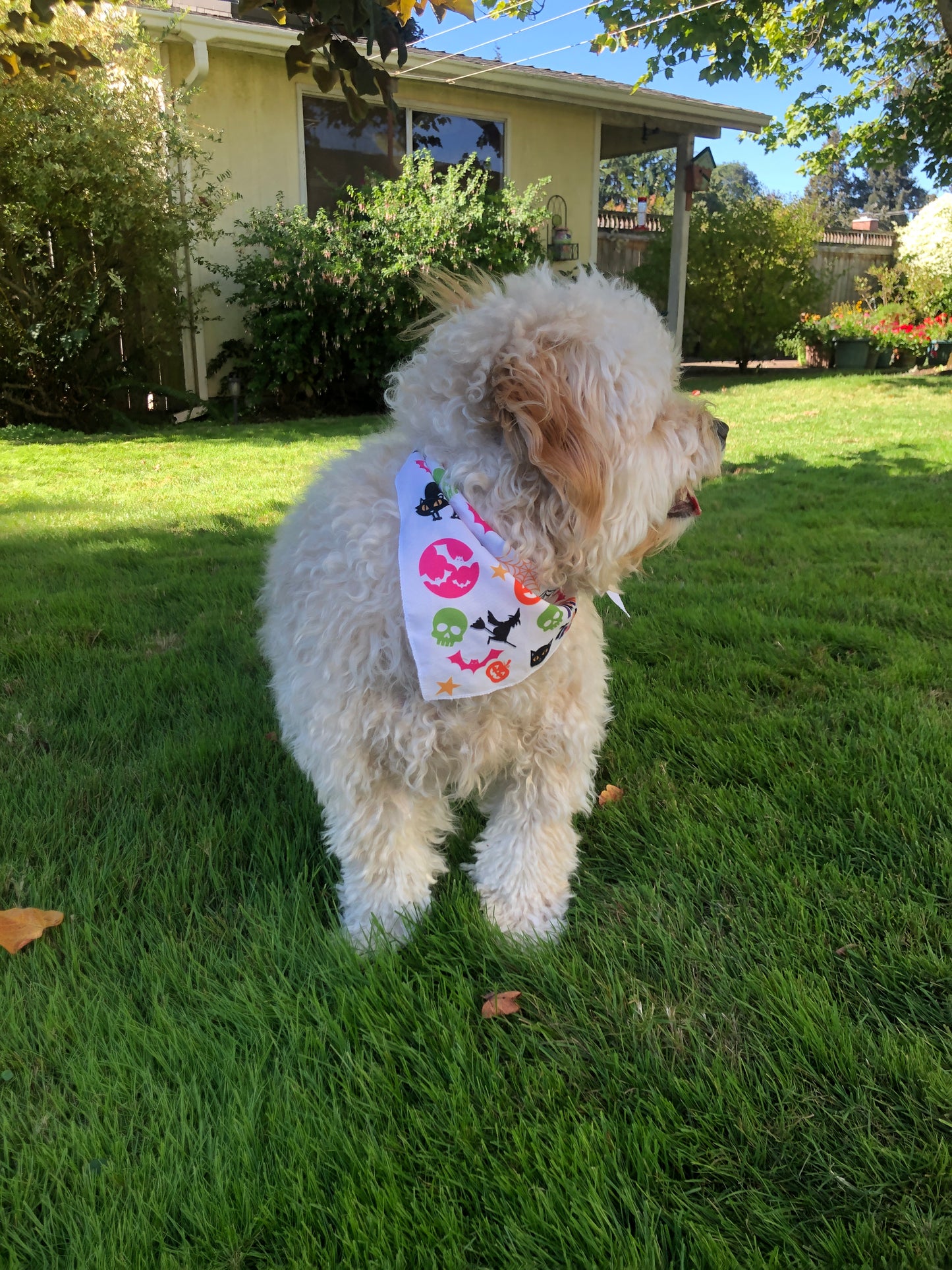 Halloween Dog Bandana ,Custom Dog bandana, Fun dog bandana, custom dog gifts, summer fun dog accessories, good dog gift