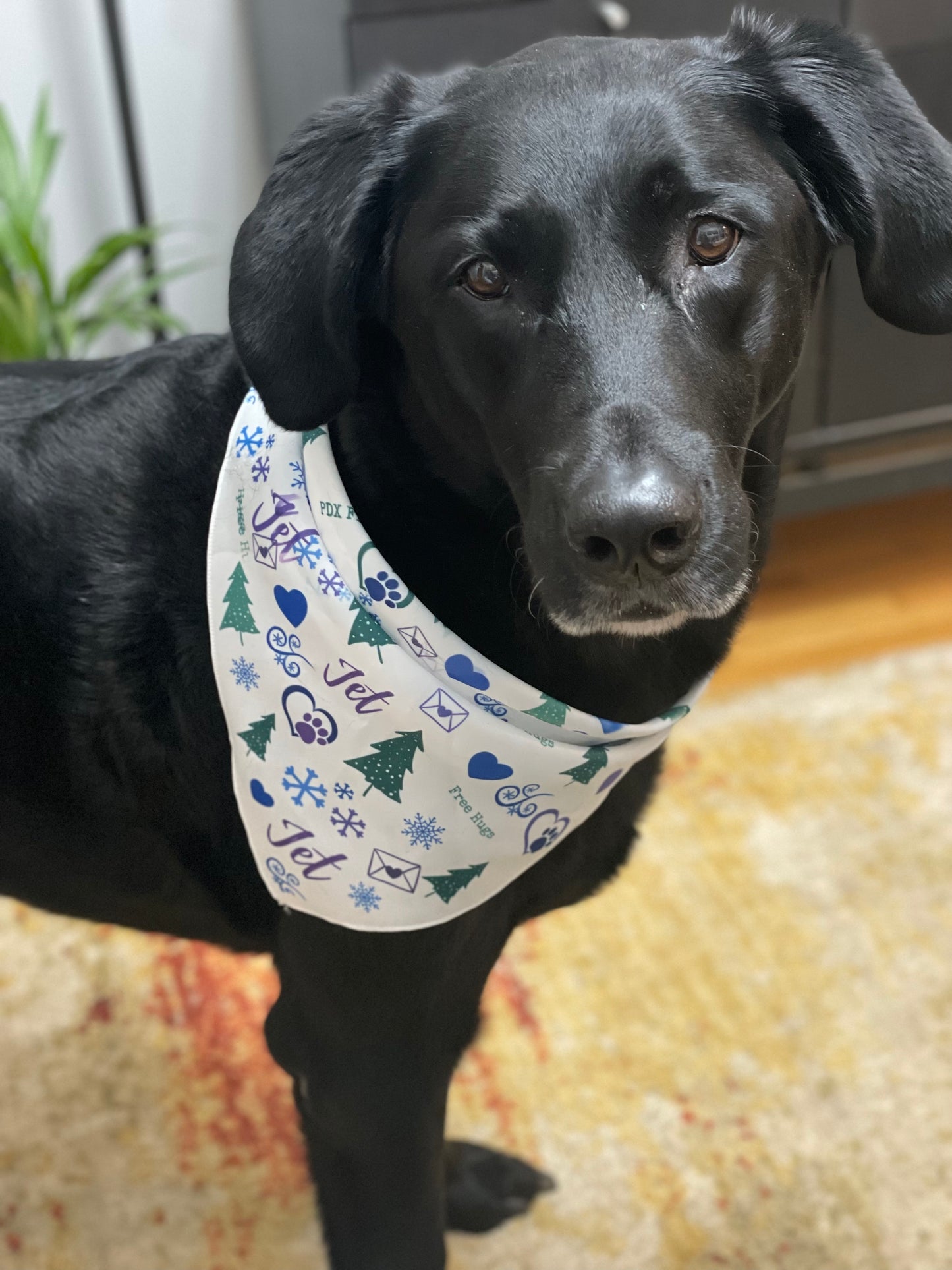 PDX Flower Power Personalized " Winter wonderland" Pet bandana