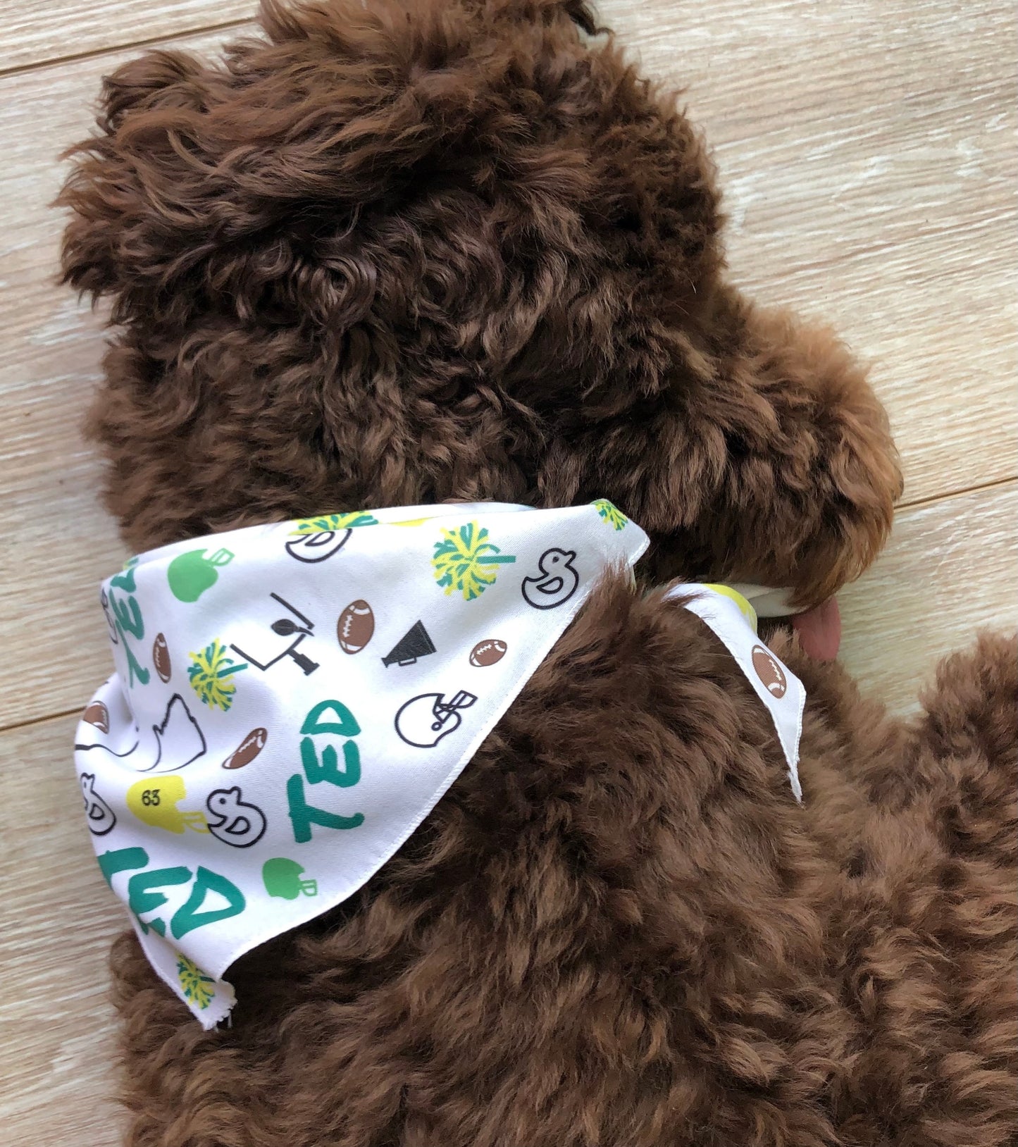 Personalized green & yellow Football bandana, Oregon themed Bandana