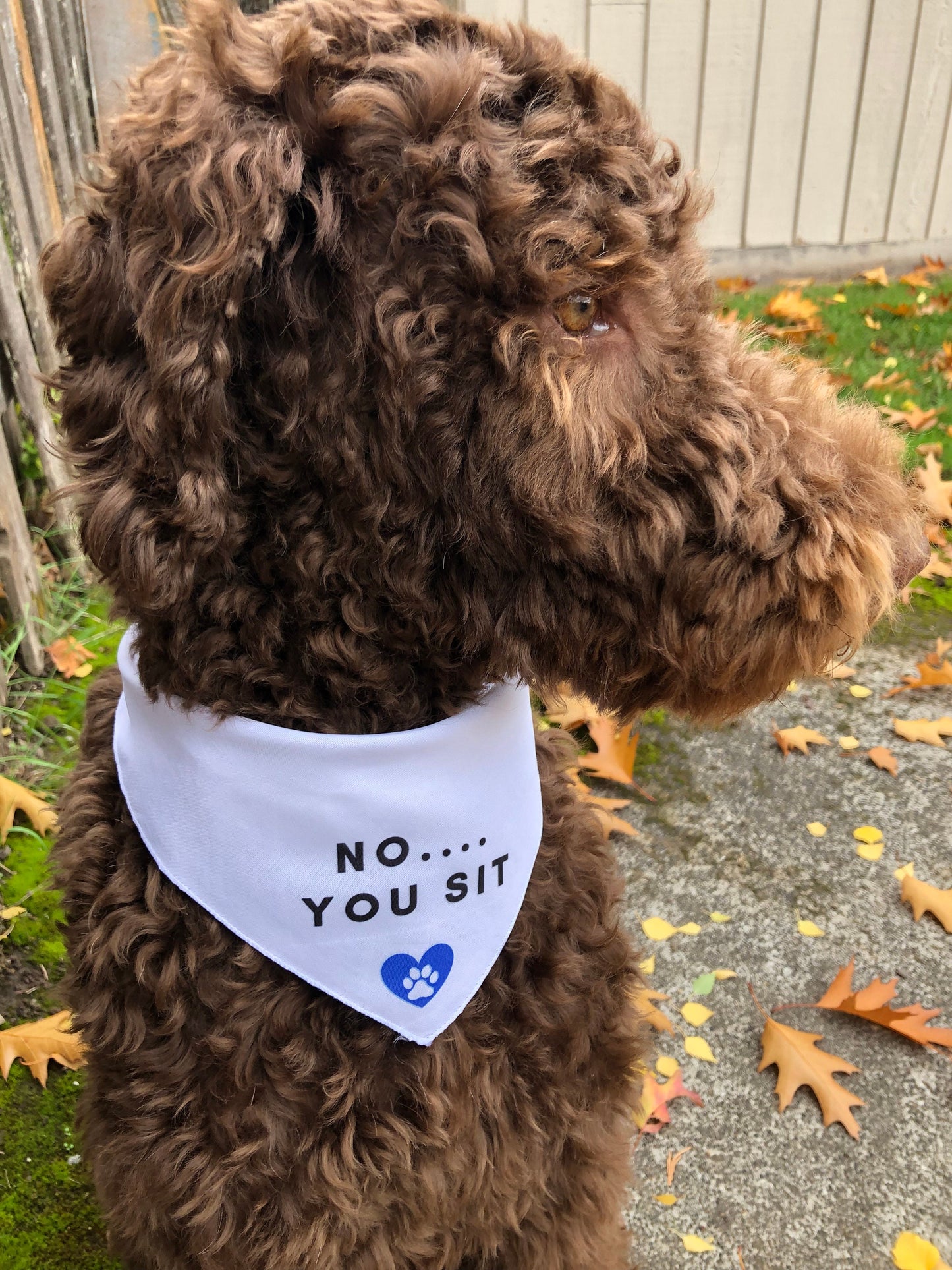 PDX Flower Power "No....you sit!" Pet bandana