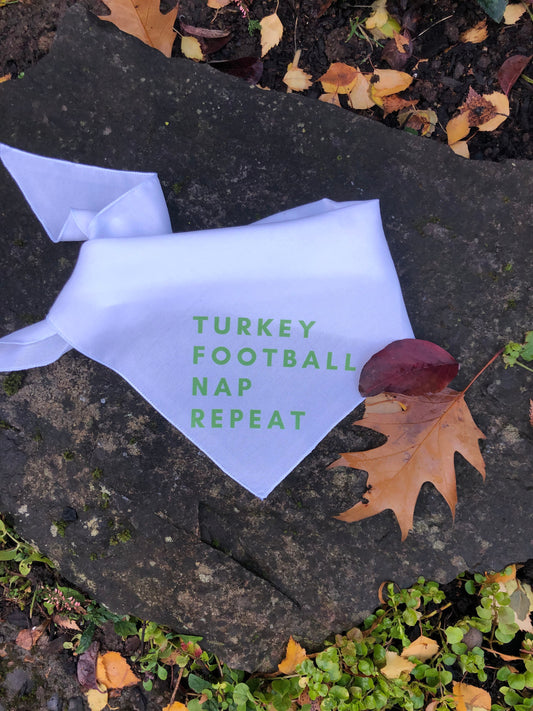 Turkey, Football, Nap, Repeat pet bandana
