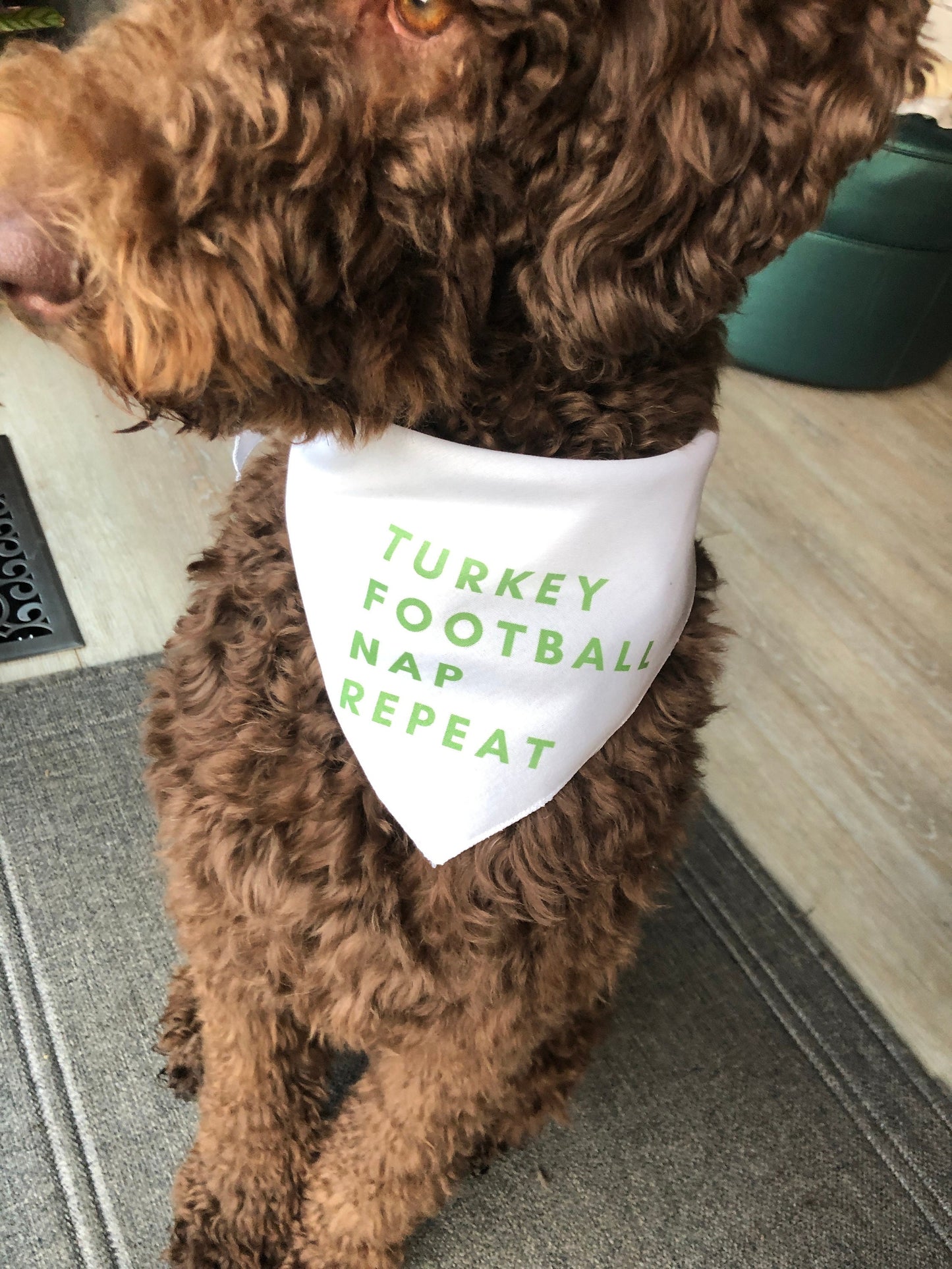 Turkey, Football, Nap, Repeat pet bandana