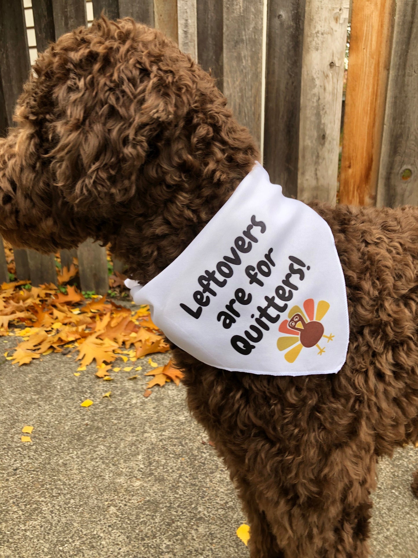 PDX Flower Power "Leftovers are for quitters" pet bandana