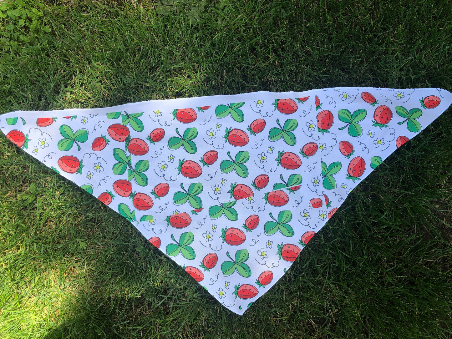 Strawberry Dog Bandana