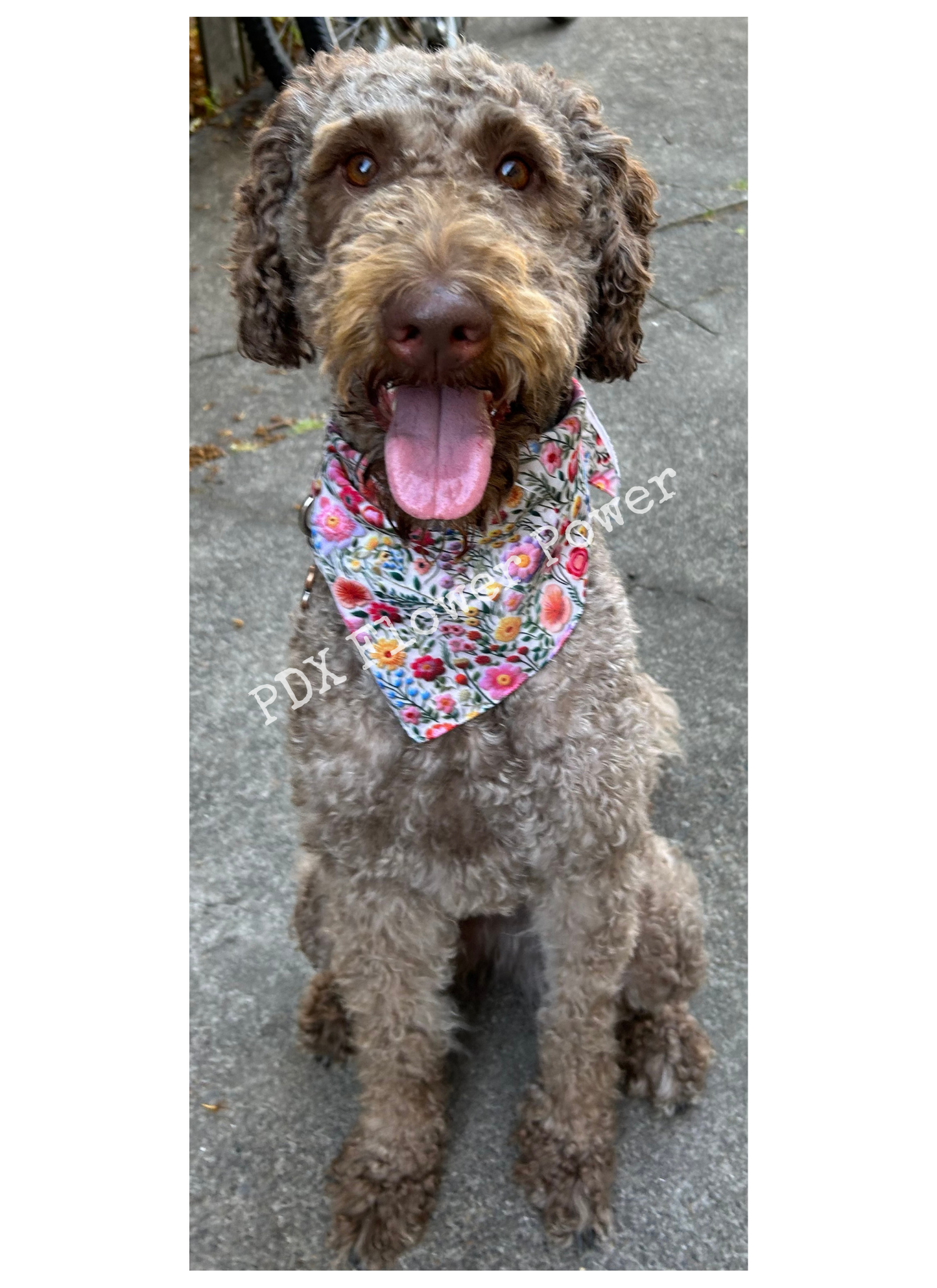 Floral dog bandana, Floral embroidery motif,  Pet bandana, bandanas for puppies, Faux embroidery bandana.