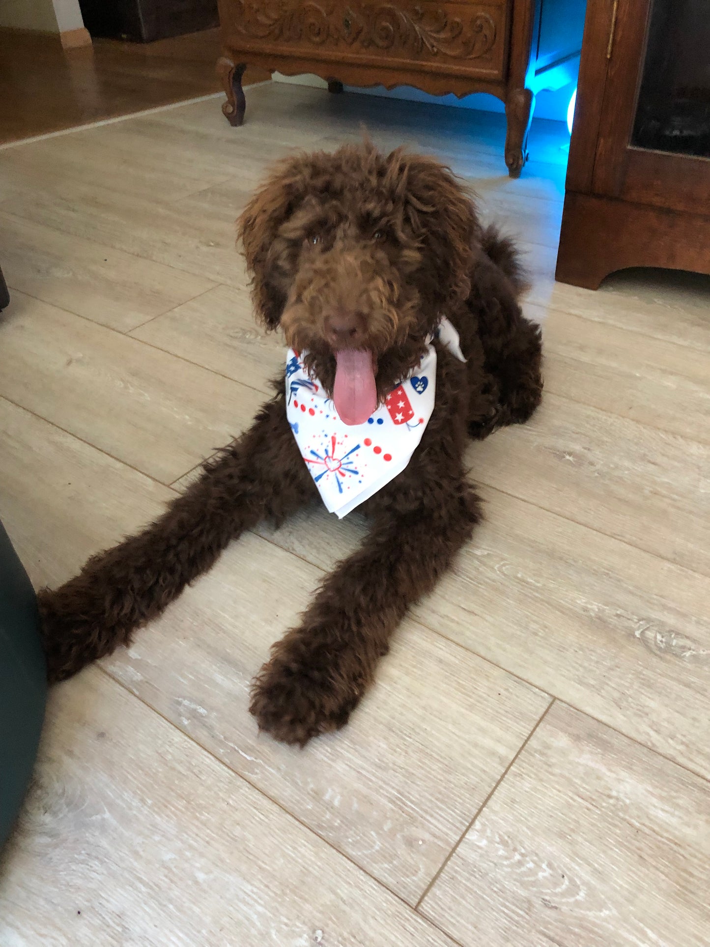 PDX Flower Power "4th of July bandana", Independence Day dog, 4th of July dog bandana