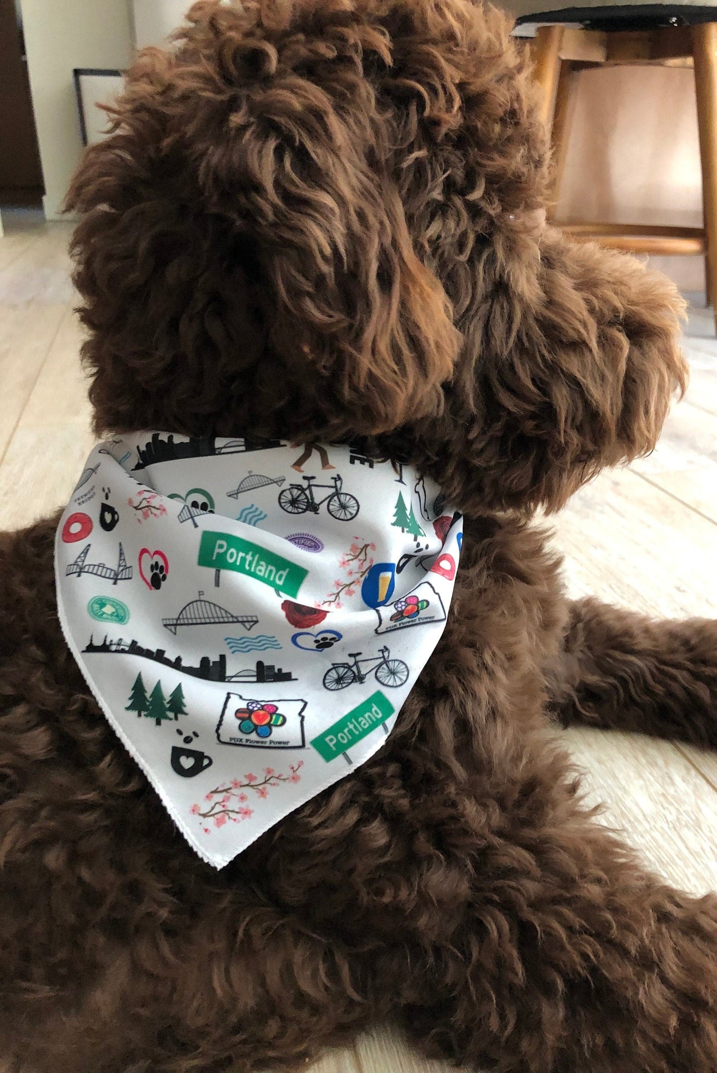 personalized paw bandanas