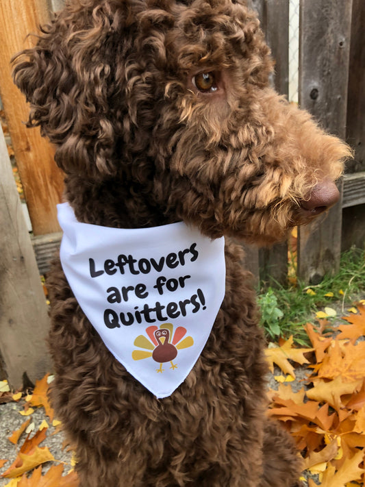 PDX Flower Power "Leftovers are for quitters" pet bandana