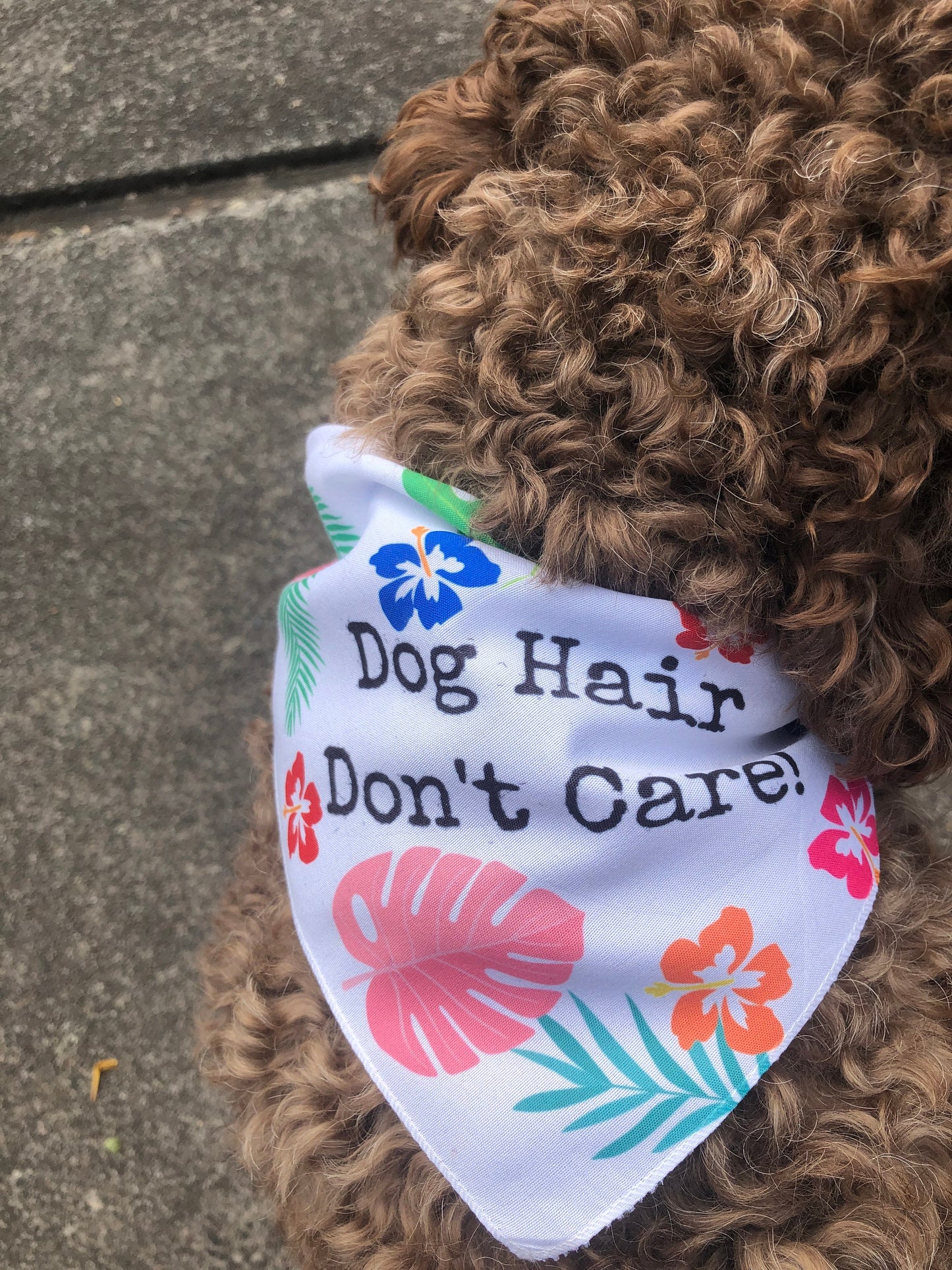Dog Hair Don't care dog Bandana, Custom Dog bandana, Monstera dog bandana, custom dog gifts,  summer fun dog accessories, good dog gift